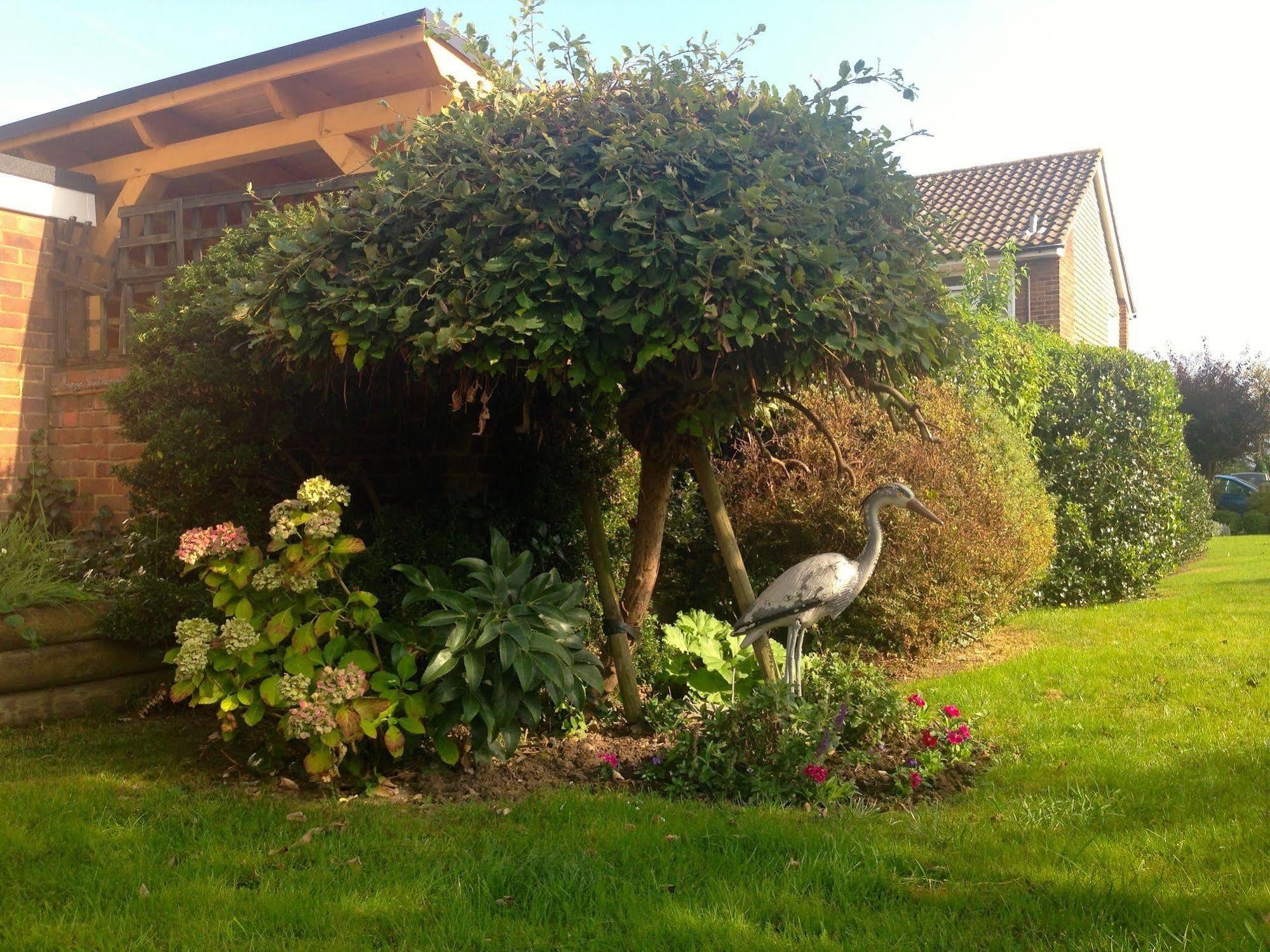 Herons Nest B&B Marlow  Luaran gambar